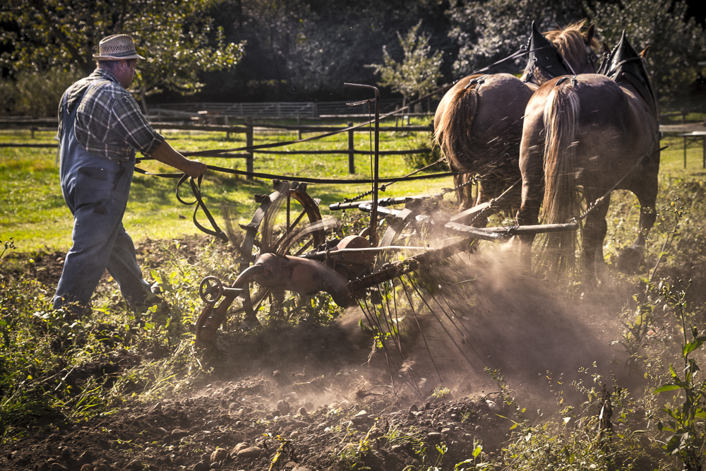 7. Platz Anton Kienle